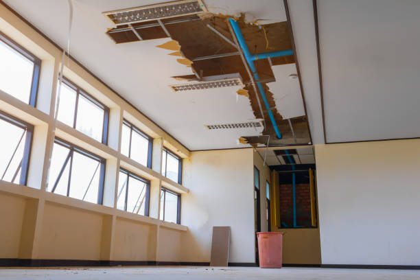 Best Water damage restoration services  in Waimanalo Beach, HI