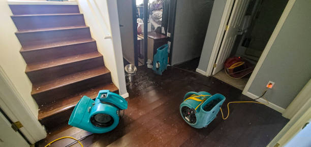 Best Mold removal after water damage  in Waimanalo Beach, HI