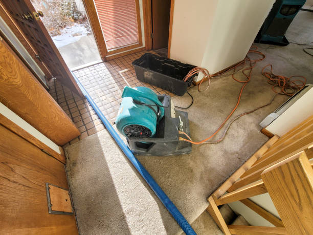 Best Sewage cleanup and water damage restoration  in Waimanalo Beach, HI
