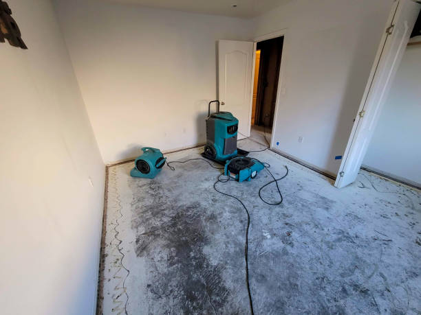 Water damage restoration process in Waimanalo Beach, HI