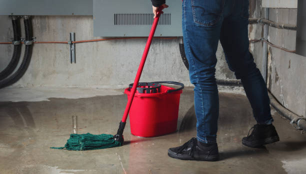 Best Flooded house restoration  in Waimanalo Beach, HI