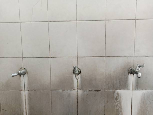 Best Local water damage restoration  in Waimanalo Beach, HI