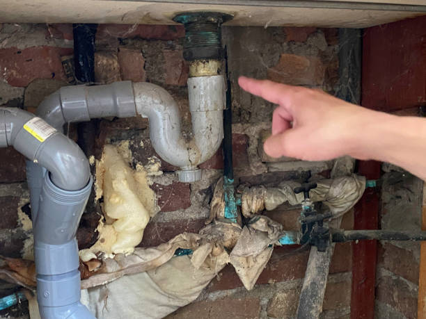 Trusted Waimanalo Beach, HI Water damage restoration Experts