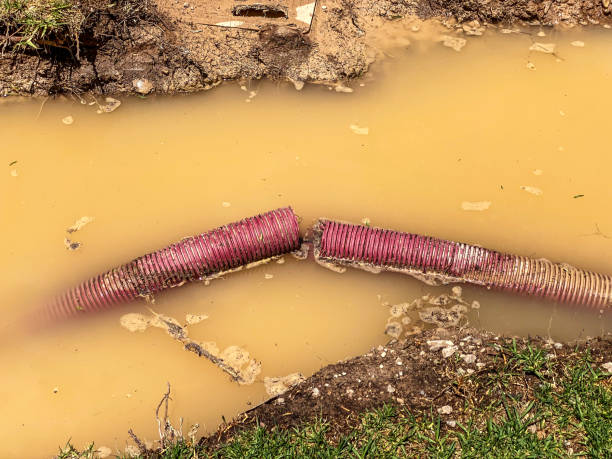 Best Sewage cleanup and water damage restoration  in Waimanalo Beach, HI
