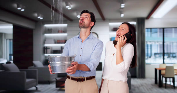 Best Commercial water damage restoration  in Waimanalo Beach, HI