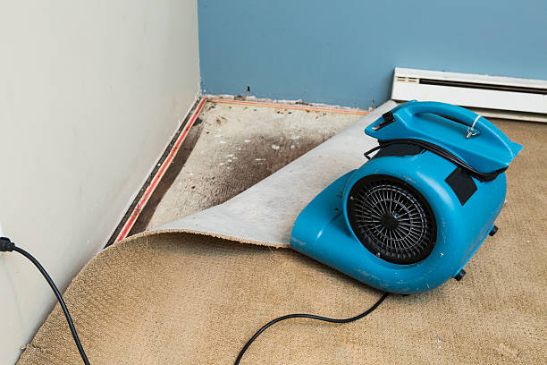 Best Water damage restoration company  in Waimanalo Beach, HI